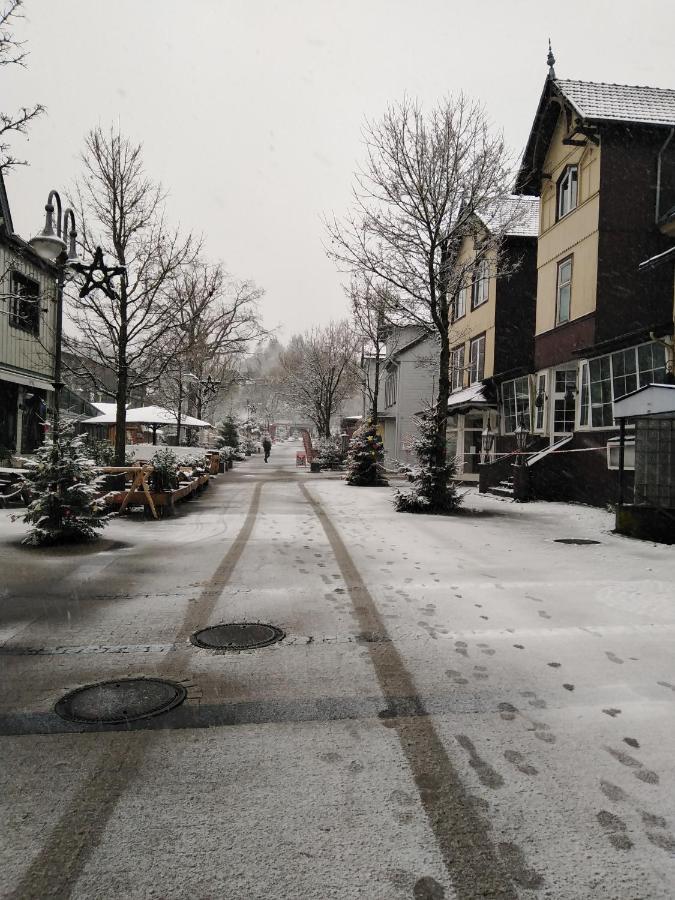 Ferienwohnung Pirkl Goslar Exterior foto